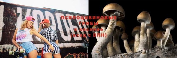 сатива Горнозаводск