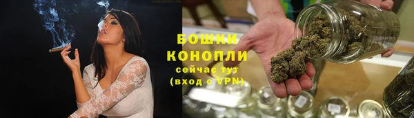 сатива Горнозаводск