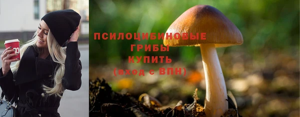 сатива Горнозаводск