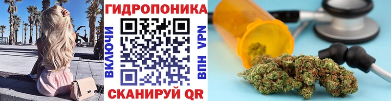 Конопля OG Kush  купить наркотики сайты  Комсомольск 